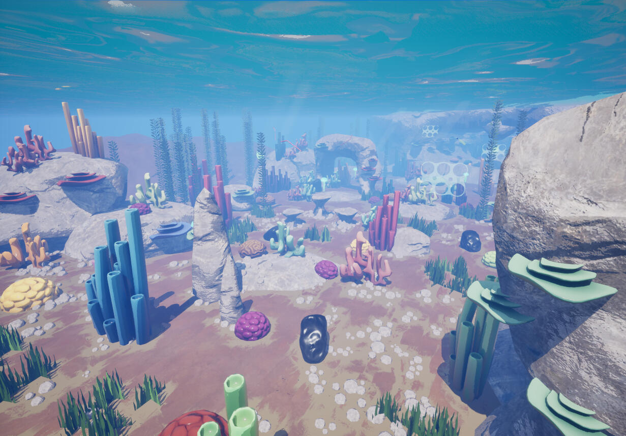 Colourful Corals Level